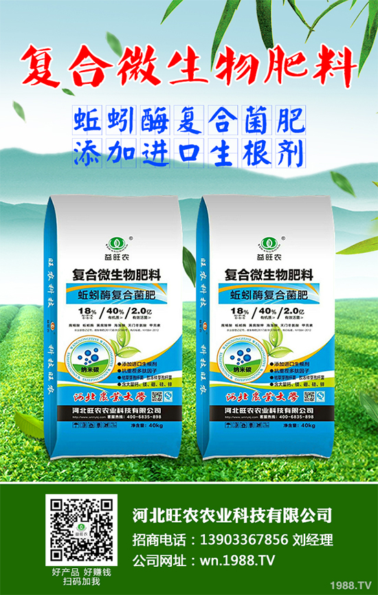 洋桔梗該如何種植？洋桔梗栽培種植技術(shù)