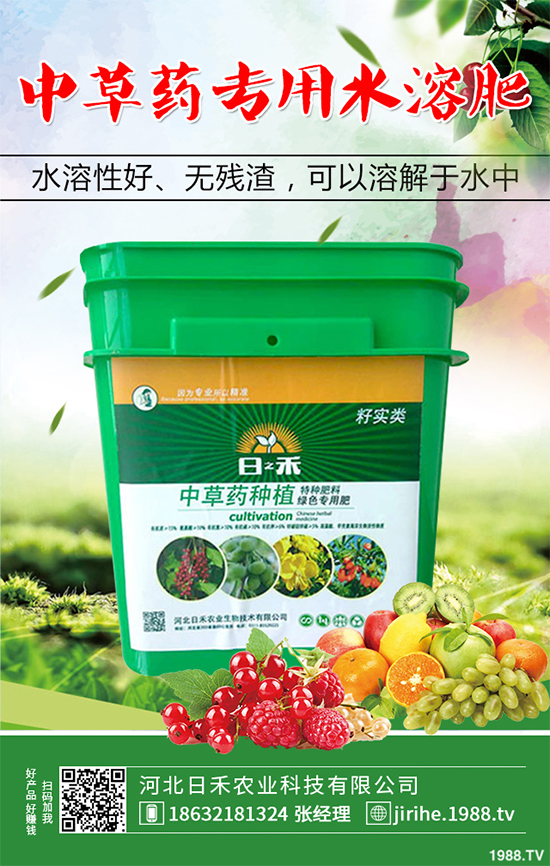 射干該怎么種植？中藥材射干的種植技術要點