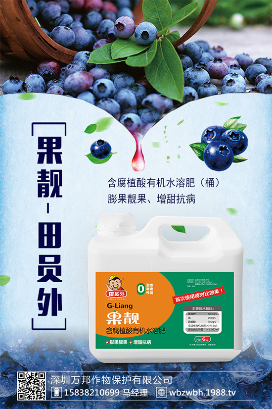 太子參的市場前景如何？2020太子參種植的效益分析