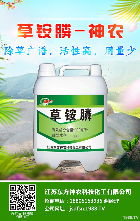 蒲公英種植如何實(shí)現(xiàn)高產(chǎn)？種植蒲公英效益如何呢？