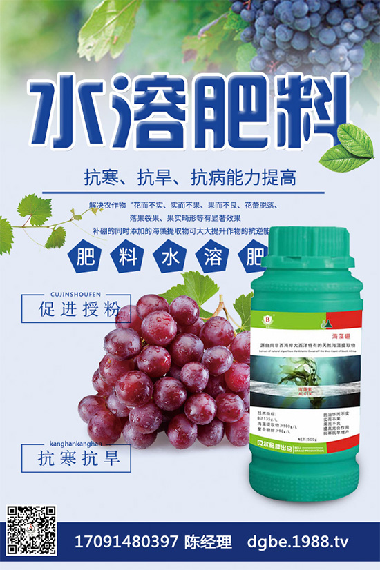 露地西瓜該如何育苗？春季露地西瓜高產(chǎn)栽培技術(shù)