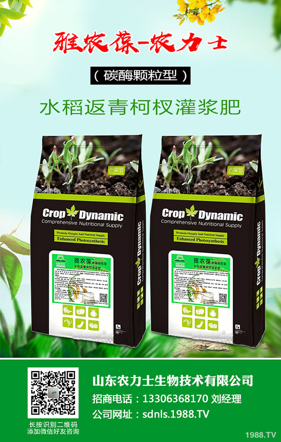     國內(nèi)尿素價格小幅探漲！最新尿素行情走勢綜合預測2020-4-16