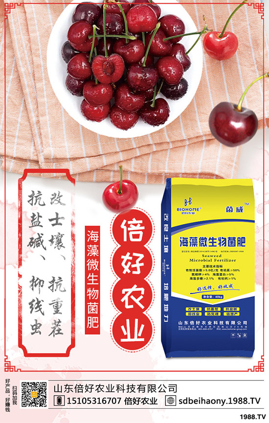 2020-4-20今日磷酸二銨新單交投清淡!最新二銨價(jià)格行情分析!