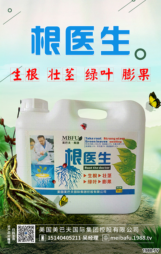 春花生什么時候播種？春花生的播種時間及注意事項