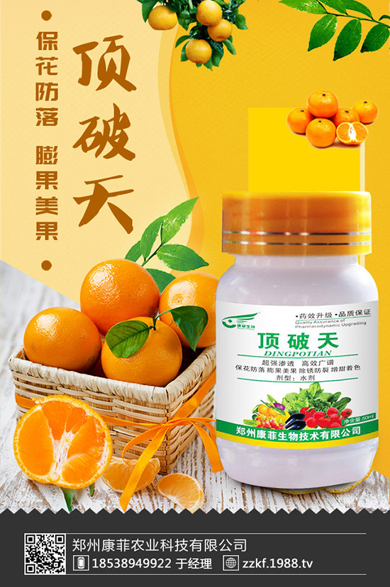 菜豆怎樣施肥才能高產(chǎn)？菜豆需肥特點與施肥技術！