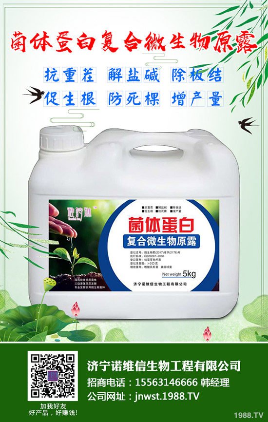 大豆施用硼肥有哪些好處？大豆施用硼肥的技術！