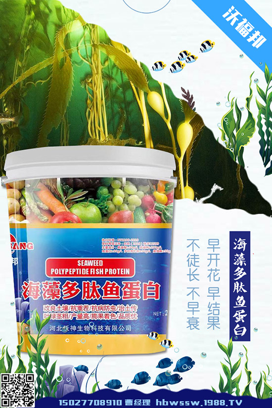     ���ӷNֲ��Ҫע����Щ��(w��n)�}�����ӵ�ˮ�ʹ���Ҫ�c(di��n)��