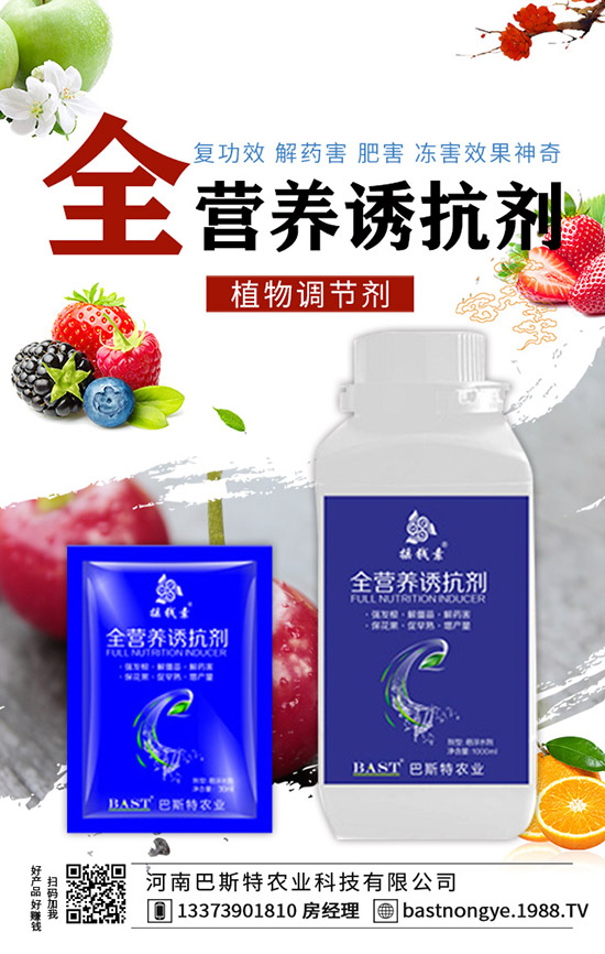 結(jié)球甘藍(lán)怎么施肥,結(jié)球甘藍(lán)的施肥技術(shù)!