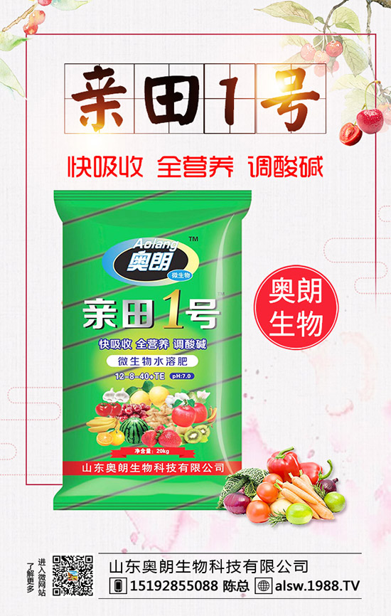  蘆筍種子處理及育苗技術(shù)，蘆筍定植后要如何管理？