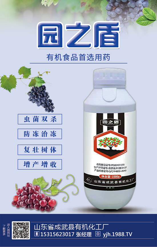 蘆筍如何施肥?蘆筍用什么肥料好?蘆筍需肥特點(diǎn)及注意事項(xiàng)!