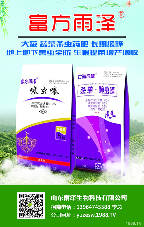 秋葵什么時(shí)間種植？秋葵種植生長(zhǎng)環(huán)境及整枝技術(shù)！