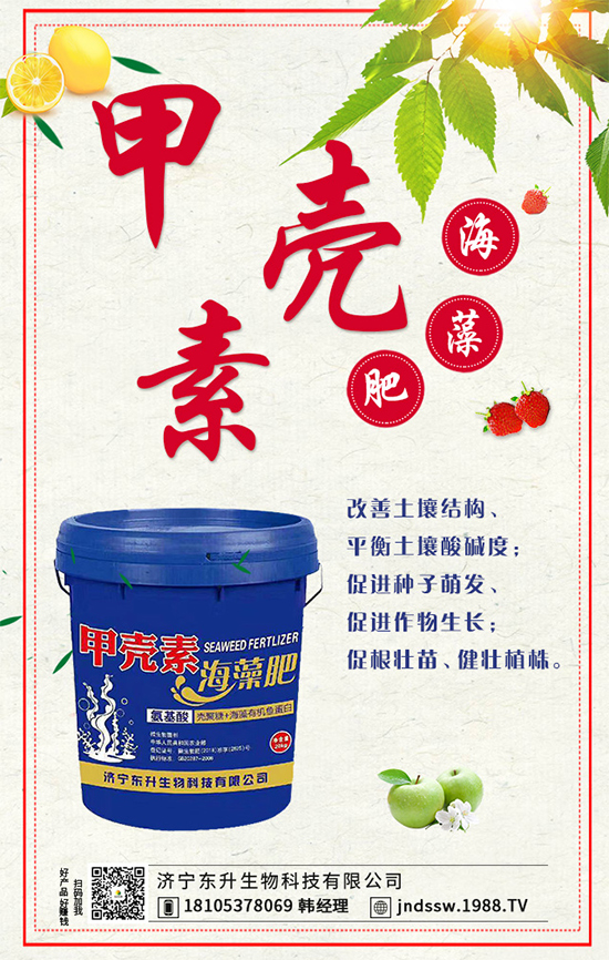 茴香什么時間種植好？茴香的高產(chǎn)種植技術！