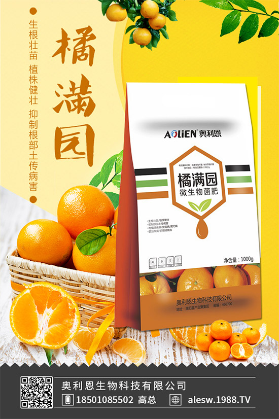 怎么區(qū)別大茴香和小茴香？茴香種植注意事項！