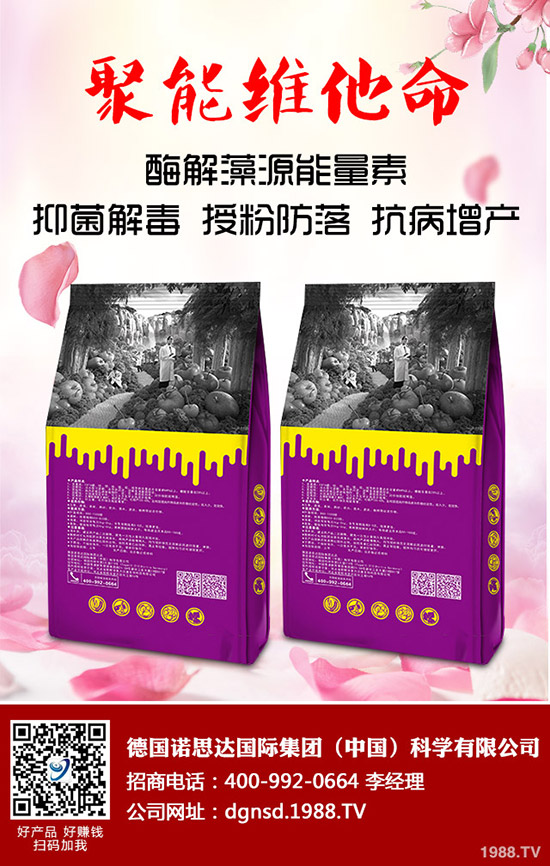 密本南瓜怎么種植？密本南瓜的栽培技術(shù)要點與方法！