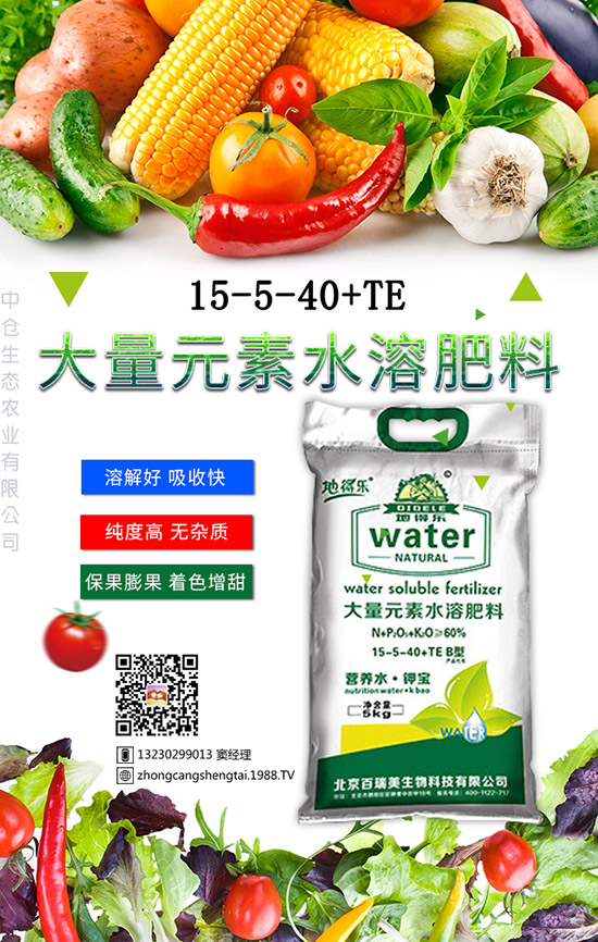仙人球這樣養(yǎng)才不會(huì)死！金琥繁殖及栽培養(yǎng)殖管理！
