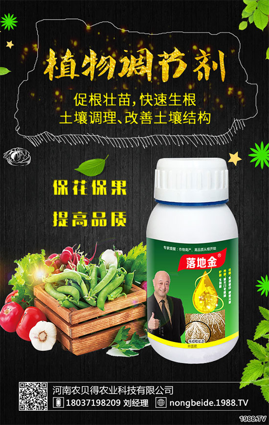 小香芹有哪些食用價值？小香芹的形態(tài)特征！