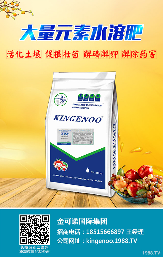 種植油茶能掙錢嗎?2020年油茶樹種植前景及效益分析