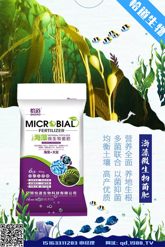 花生什么時間種植?花生高產(chǎn)種植方法!