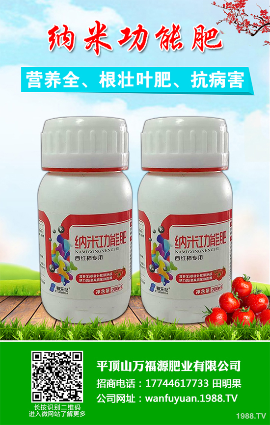 水蜜桃該如何種植？五步教你輕松種出肉厚多汁水蜜桃！