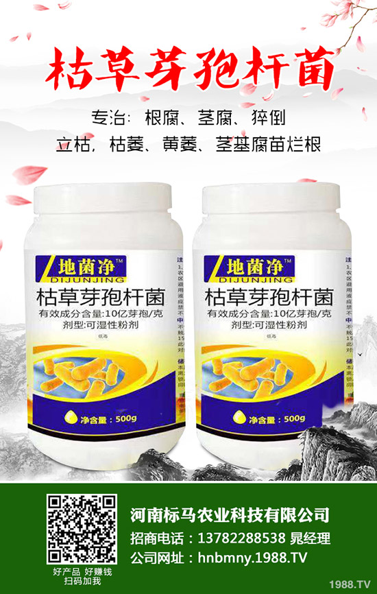 苦瓜怎么施肥，苦瓜施肥要點(diǎn)有哪些？