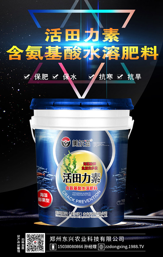 牛大力的種植的前景怎樣，牛大力種植技術(shù)及苗期管理！