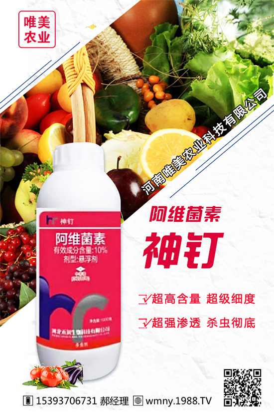 洋蔥的栽培品種有哪些?種植洋蔥對(duì)環(huán)境條件的要求!