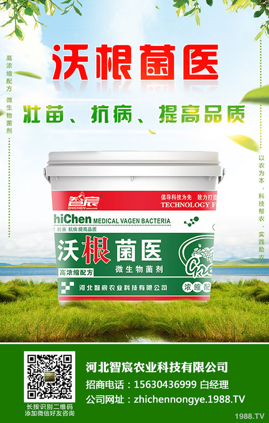 鉀肥價格整體偏低運行！最新鉀肥行情分析2020-5-15！