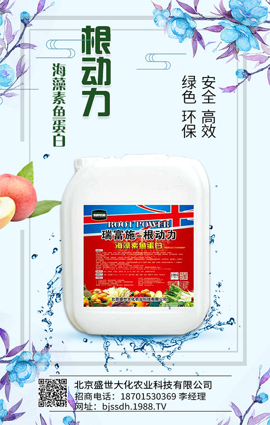     磷肥價(jià)格低位運(yùn)行！2020-05-16最新一銨二銨價(jià)格走勢(shì)分析！