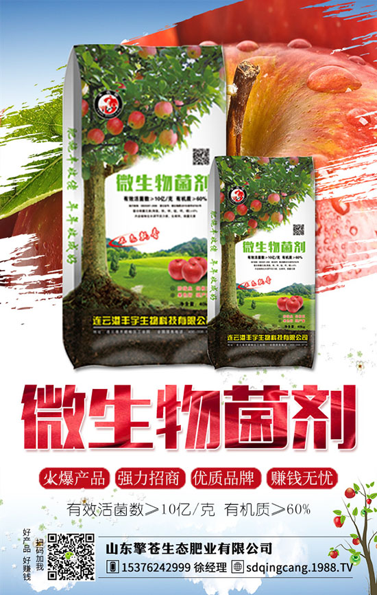 草莓發(fā)生肥害了怎么辦？如何避免？草莓肥害原因及補(bǔ)救措施！