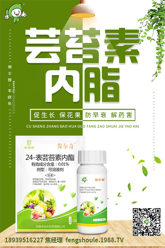 草珊瑚該怎么種植？如何種植能高產(chǎn)？草珊瑚高產(chǎn)種植技術(shù)