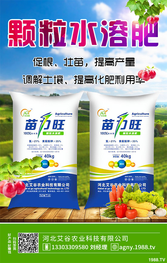 黑番茄有哪些營養(yǎng)價值?功效作用有哪些?黑番茄的功效作用及種植前景