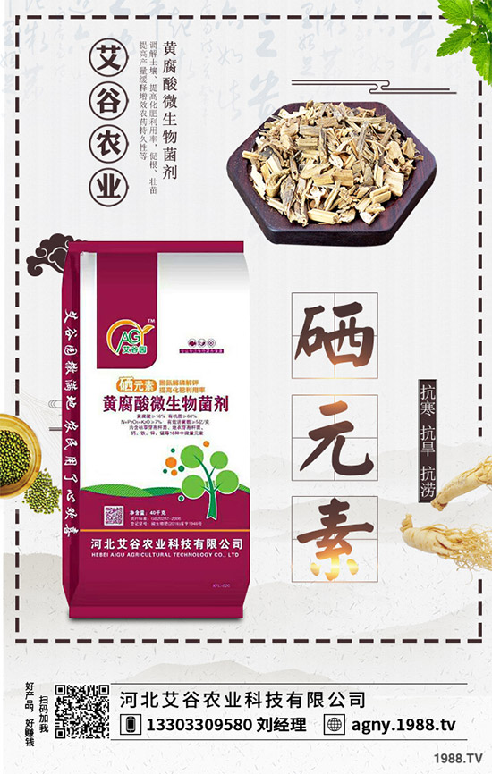 黑番茄該怎樣種植？如何管理才能獲得高產(chǎn)？黑番茄高產(chǎn)種植管理技術(shù)！
