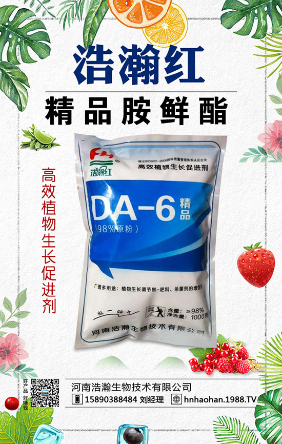 西紅柿摘葉常見(jiàn)誤區(qū)有哪些？西紅柿摘葉技巧！