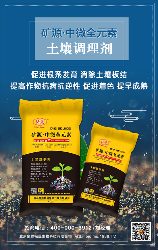 黑芝麻什么時間種植？黑芝麻栽培技術(shù)要點！