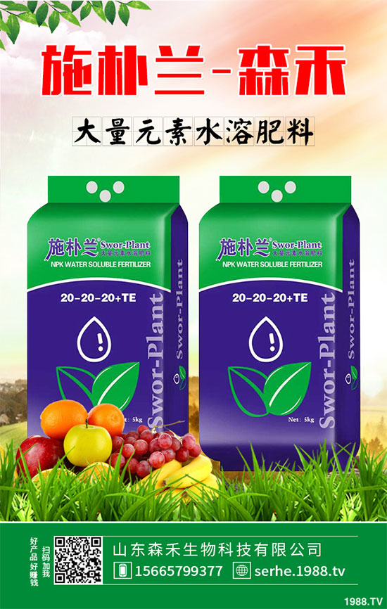 馬鈴薯價(jià)格不斷升高，能否繼續(xù)堅(jiān)挺？2020年馬鈴薯種植前景分析