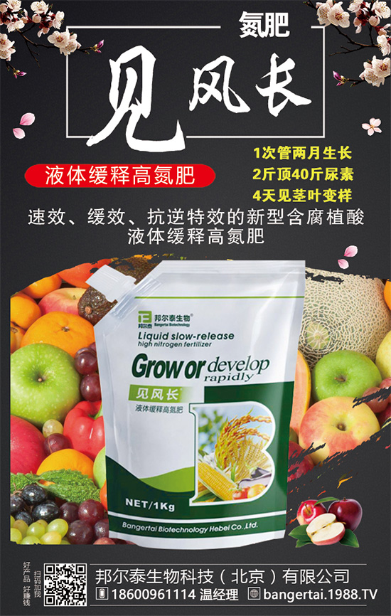 金錢草有哪些生長習(xí)性?金錢草怎么種植?