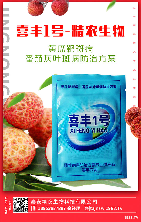 廣金錢草種植需要哪些條件？廣金錢草扦插育苗要點！