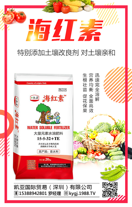 金錢草的產(chǎn)地分布在哪？金錢草種植注意事項(xiàng)！