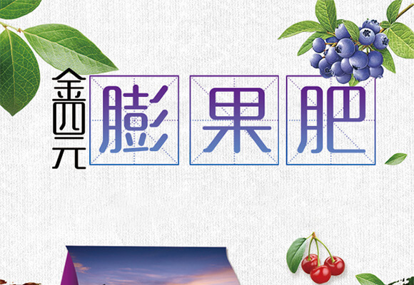 硫酸鉀型復合肥料12-8-28-金四元膨果肥-中農(nóng)化_01
