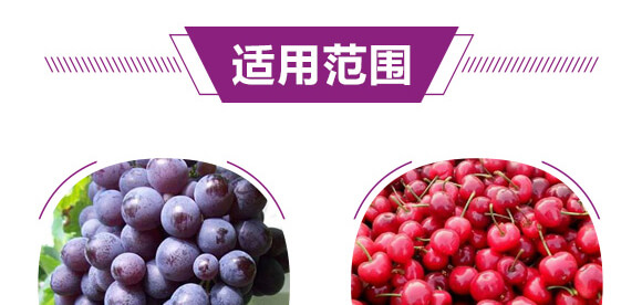 硫酸鉀型復合肥料12-8-28-金四元膨果肥-中農(nóng)化_06