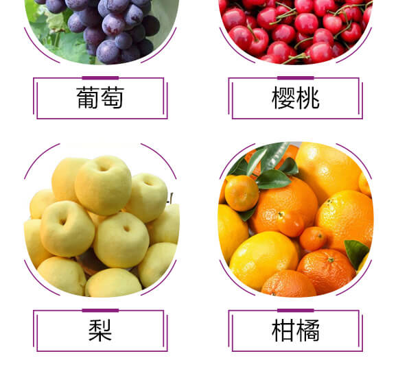 硫酸鉀型復合肥料12-8-28-金四元膨果肥-中農(nóng)化_07