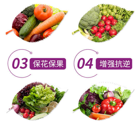 硫酸鉀型復合肥料12-8-28-金四元膨果肥-中農(nóng)化_05