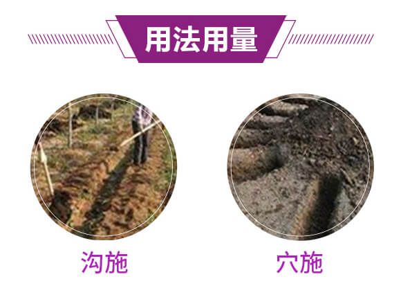 硫酸鉀型復合肥料12-8-28-金四元膨果肥-中農(nóng)化_08