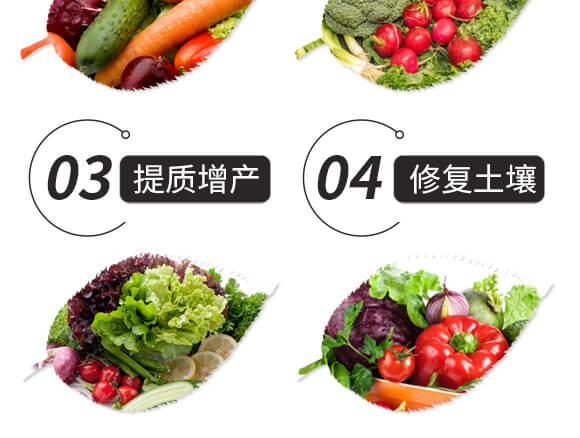 結晶腐植酸鉀-天壤一號-黑色生態(tài)_05