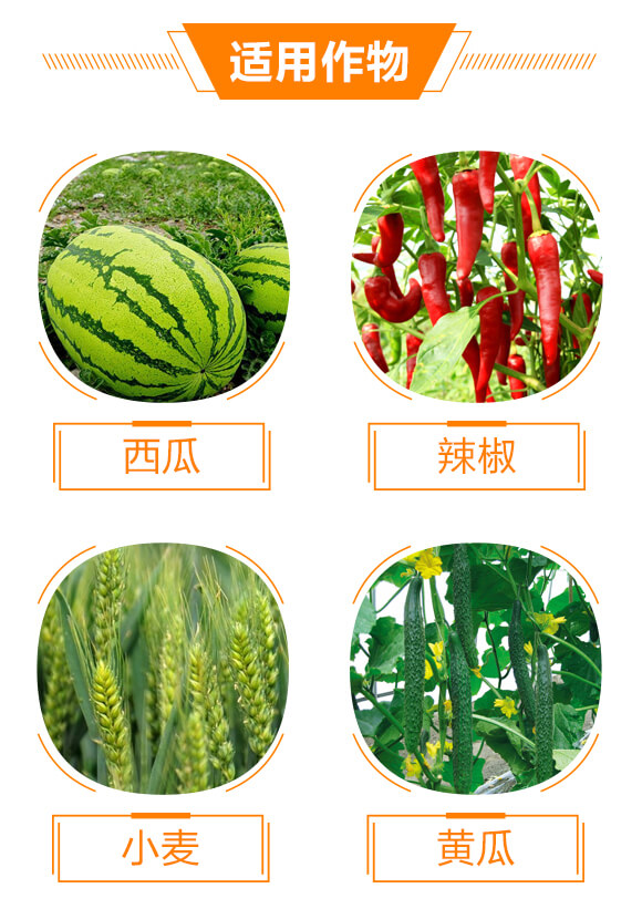 10%己唑醇-斑星杰-生農(nóng)世澤_04