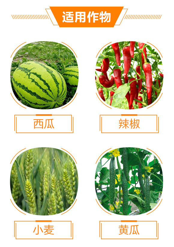 300��ÿ�����ѡ����h(hu��n)��-��֮�{(l��n)-���r(n��ng)����_04