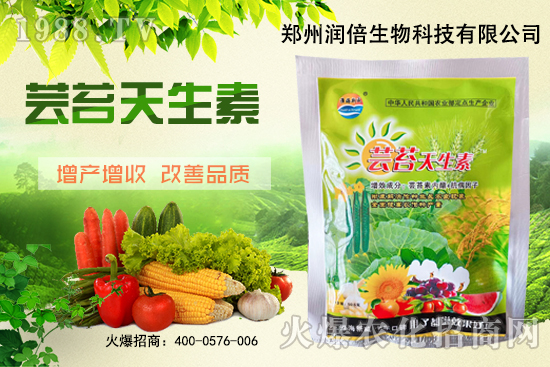 黃連苗期怎么管理？黃連苗期病蟲害防治！