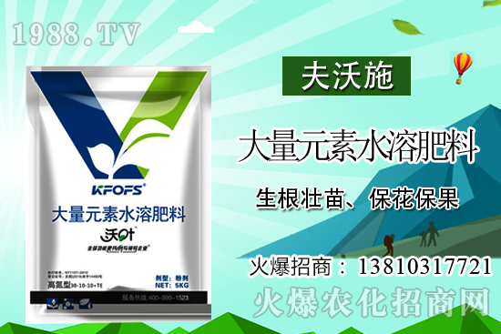 金櫻子有什么營養(yǎng)？金櫻子的功效與作用！