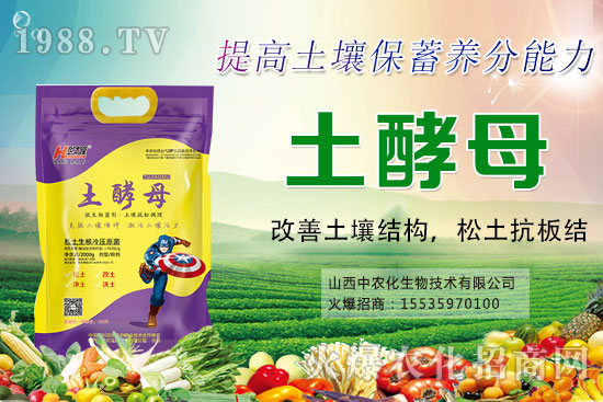 蔬菜輪作有什么好處，蔬菜輪作原則和注意要點(diǎn)！