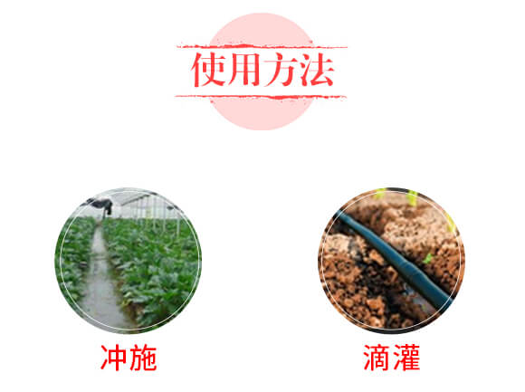 調理型微生物菌肥—果然好-鼎盛河山_05